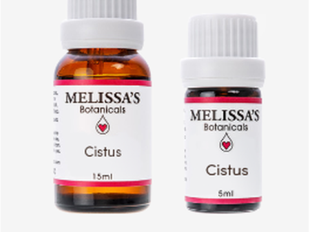 Cistus MB Sale